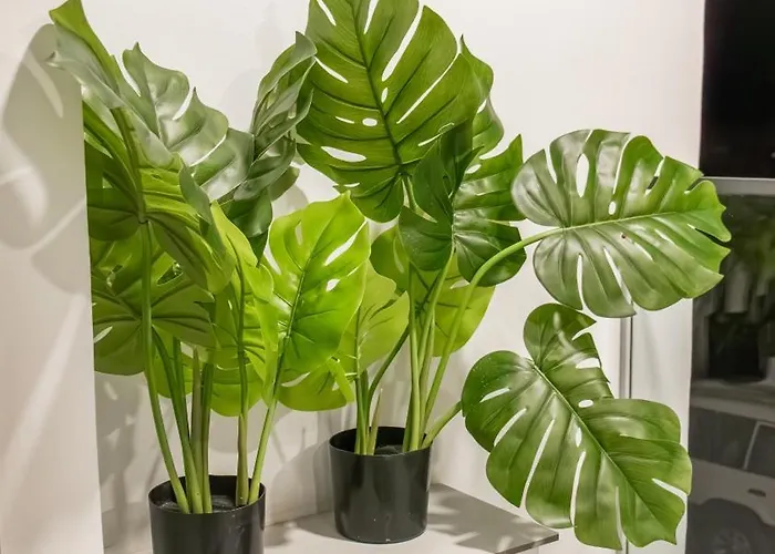 K-apartments Managed By Quattro Forze Group Appartement